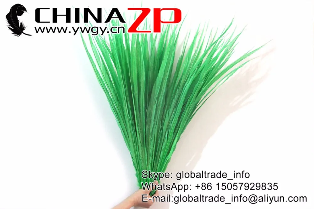 2 Golden Pheasant Tail Feathers Green Color Dyed   (2)