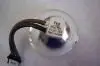 

Wholesale projector bare Lamp SHP81