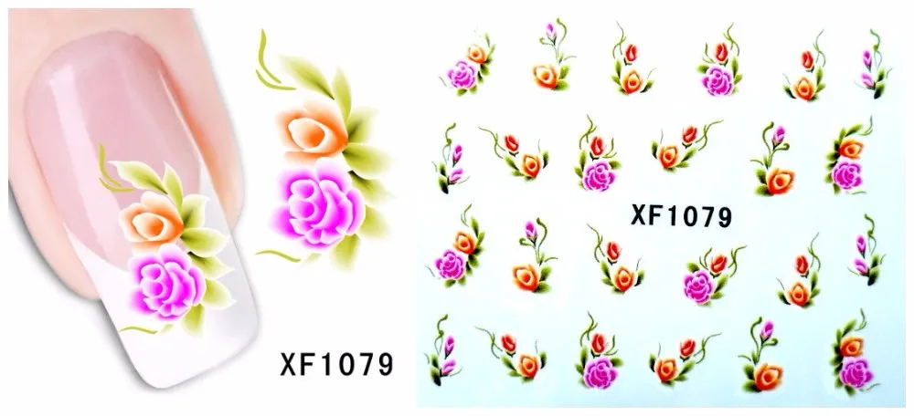 XF1079