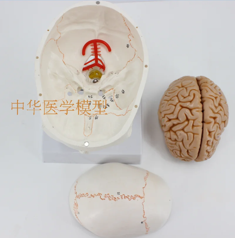 //img.alicdn.com/imgextra/i4/403496940/TB2YMC2aItnpuFjSZFKXXalFFXa_!!403496940.png