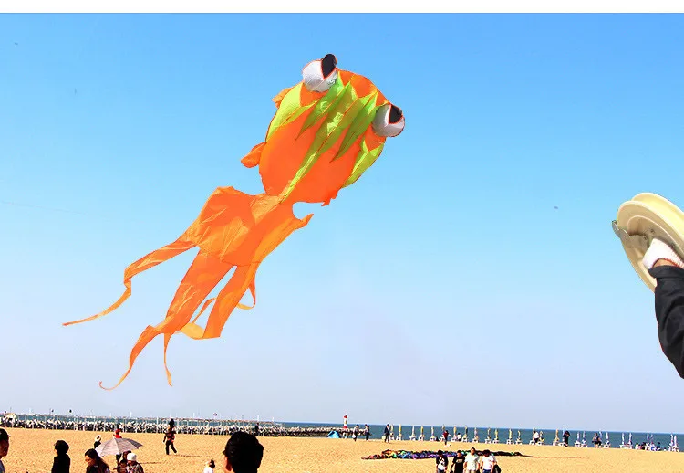 

NEW ARRIVE 3D HIGH QUALITY 3.5M SINGLE LINE POWER GOLDFISH SOFT KITES / KITE FESTIVAL