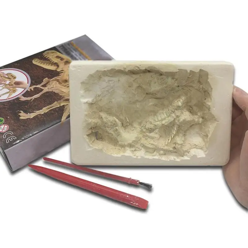 

1 Set Dinosaur Excavation Kit Archaeology Dig Up Fossil Skeleton Toy Gift for Kids 5-7 Years Animals & Nature