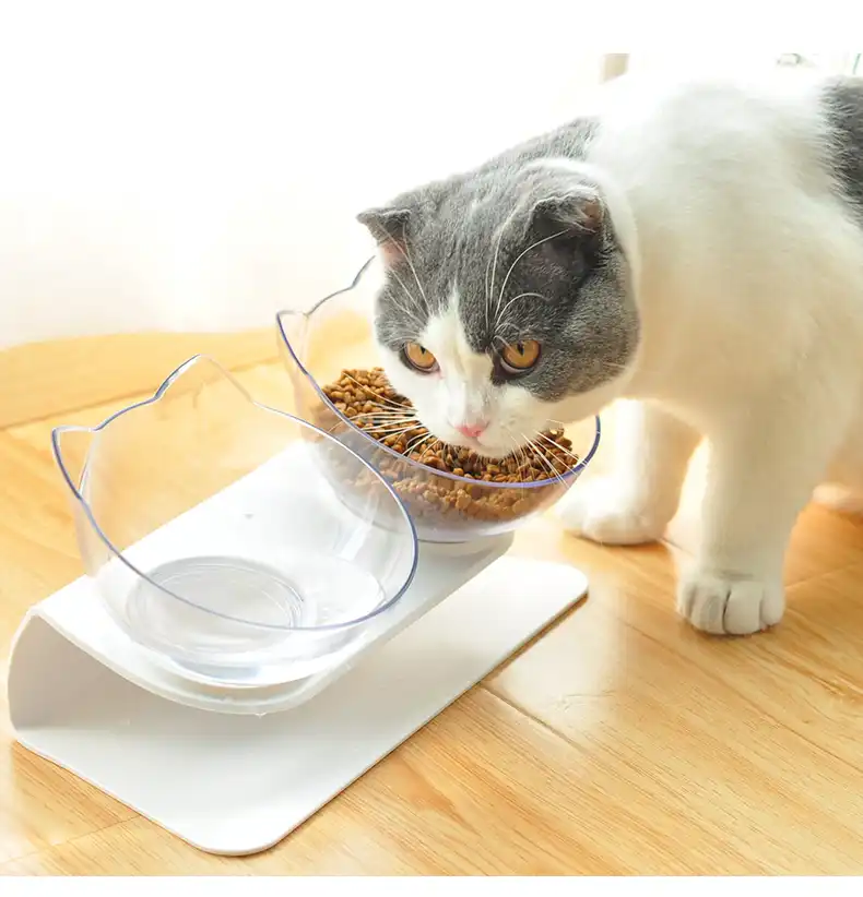 Doubles Bols Antiderapants Avec Support Sureleve Pour Chats Aliments Et Eau Pour Animaux De Compagnie Mangeoires Fournitures Pour Animaux De Compagnie Livraison Rapide Aliexpress Doubles Bols Antiderapants Avec Support Sureleve Pour Chats Aliments Et Eau Pour Animaux De Compagnie Mangeoires Fournitures Pour Animaux De Compagnie Livraison Rapide Aliexpress