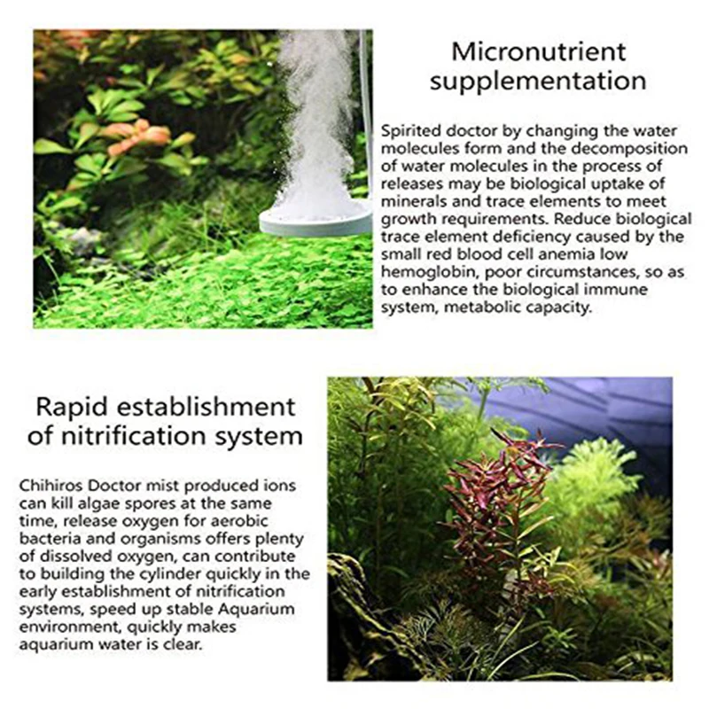 2nd generation algae remove