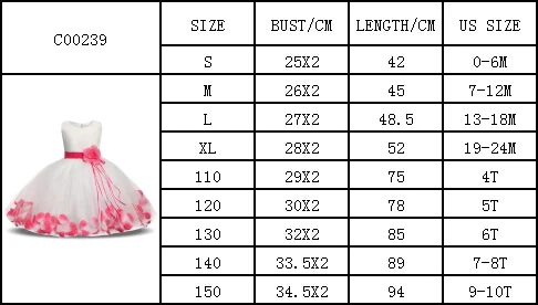 C00239(0-10T)