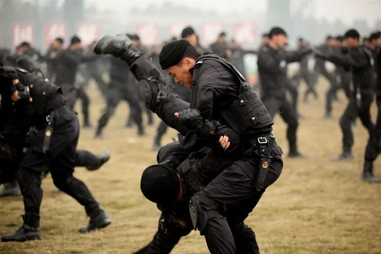 TB2y3WqdpXXXXaLXXXXXXXXXXXX_!!1119207919