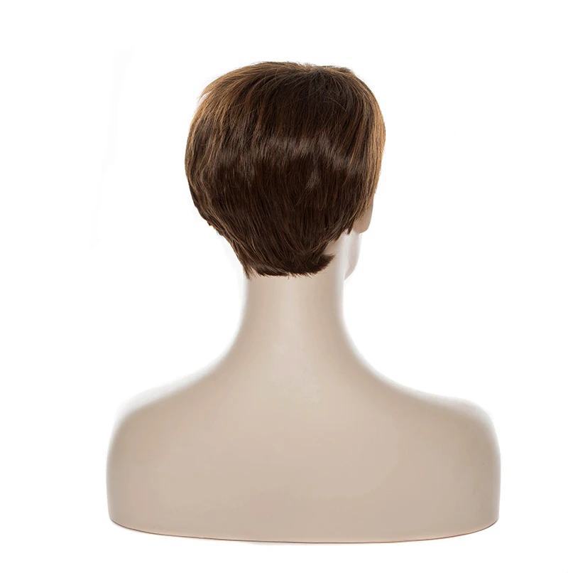 HAIRJOY женский парик из синтетических волос Короткие прямые парики 10 цветов
