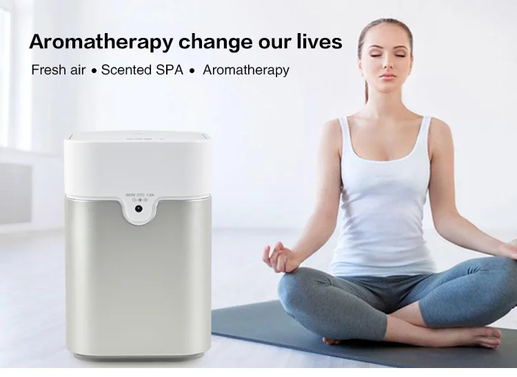 aromatherapy diffuser (3)
