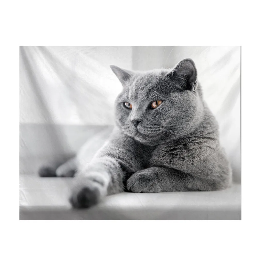 3 Boho Cat гобелен, ковер, коврики для кемпинга, туристические матрасы, песчаный пляж, плед, хиппи гобелены, модные декоративные - Цвет: 3