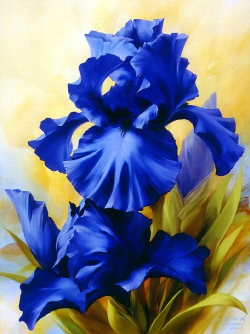 5d diy Diamond painting crystal Embroidery beads paintings diamond embroidery Blue flowers