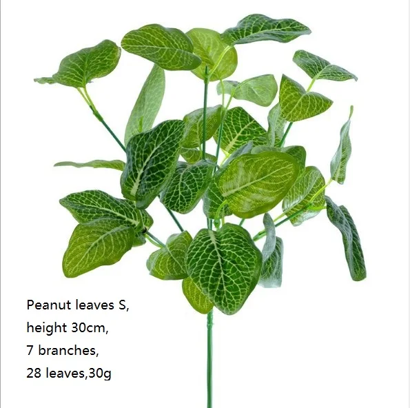Peanut leaves S