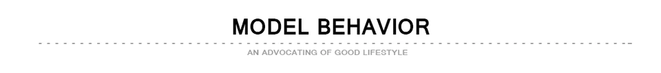 MODEL BEHAVIOR-960