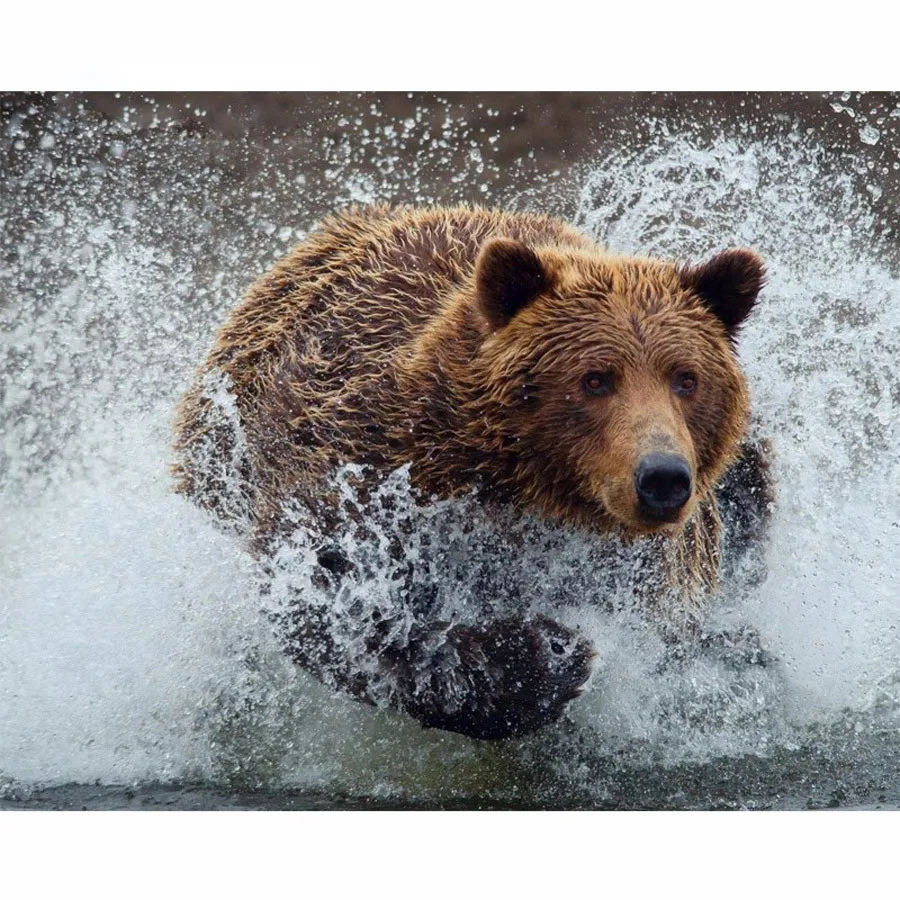 New Diy Diamond Painting Animal Bear Needlework 3d Full Drill Mosaic