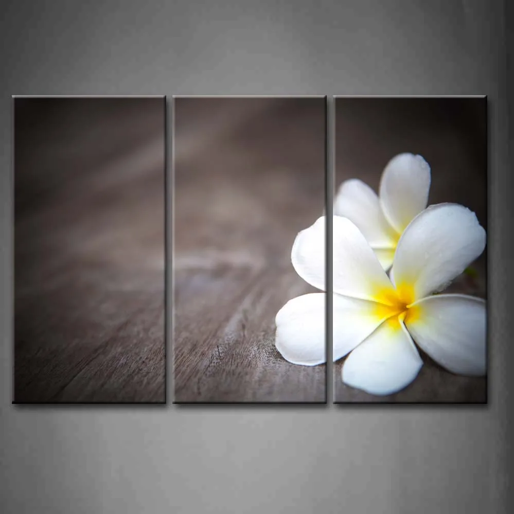 

Framed Wall Art Pictures Plumeria Flowers Dew Water Canvas Print Flower Modern Poster With Wooden Frame For Living Room