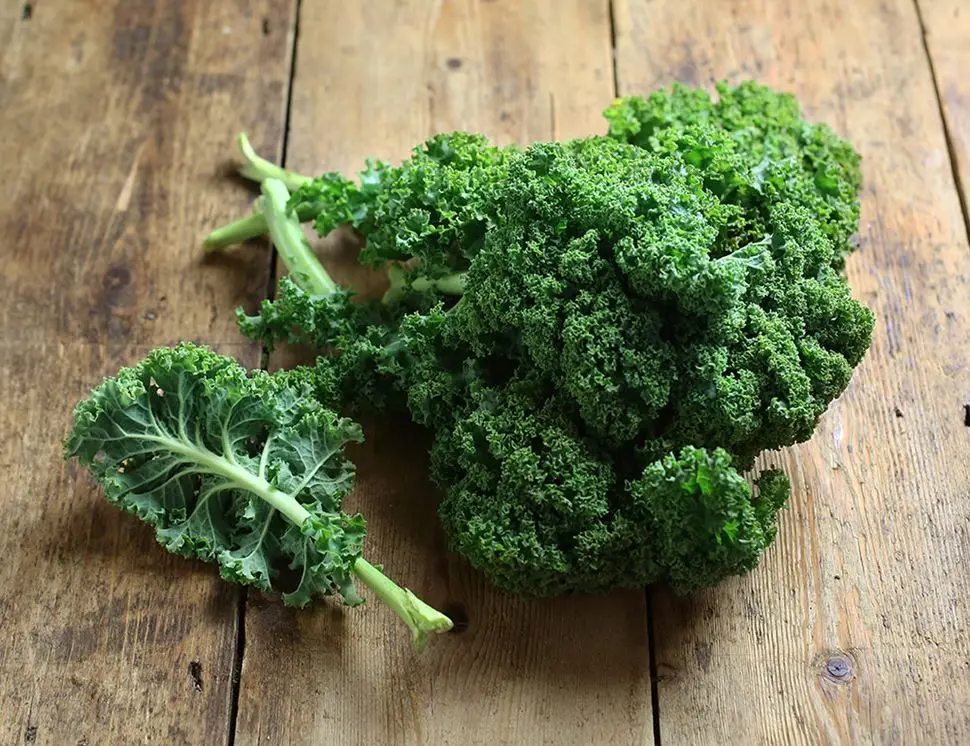 

100G,Organic Kale powder Antioxidants promote blood circulation skin and hair nutrition