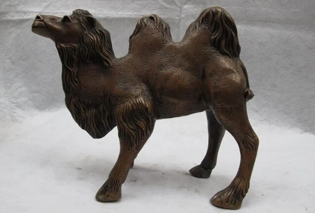 

USPS to USA S0368 9" Chinese Folk classical Copper Bronze lovely desert llama camel Art Statue B0401