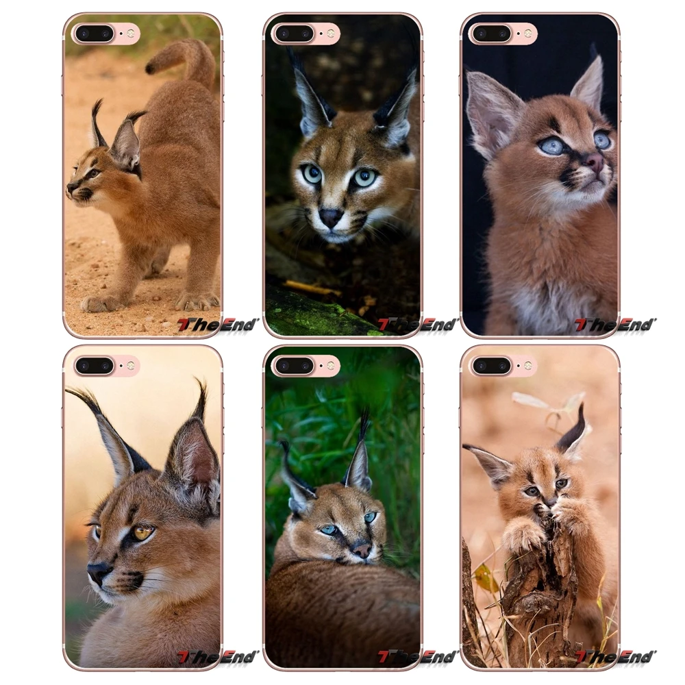 Мягкий ТПУ чехол для Xiaomi Redmi 4 3 3S Pro Mi3 Mi4 Mi4i Mi4C Mi5 Mi5S Mi Max Note 2 Africa Lynx Caracals kitten|tpu case|note