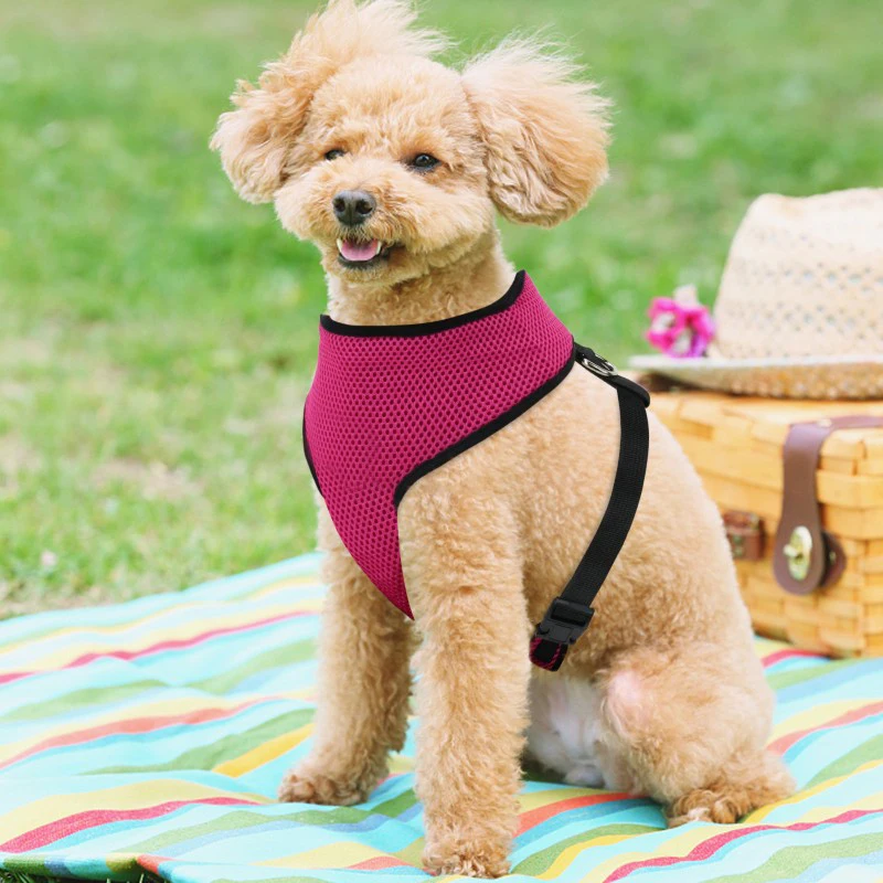 

Pet Vest Dog Harness Training Soft Mesh Pet Harness for Small Dogs Nylon Personalized Chest Strap for Chihuahua Puppy Cats 35