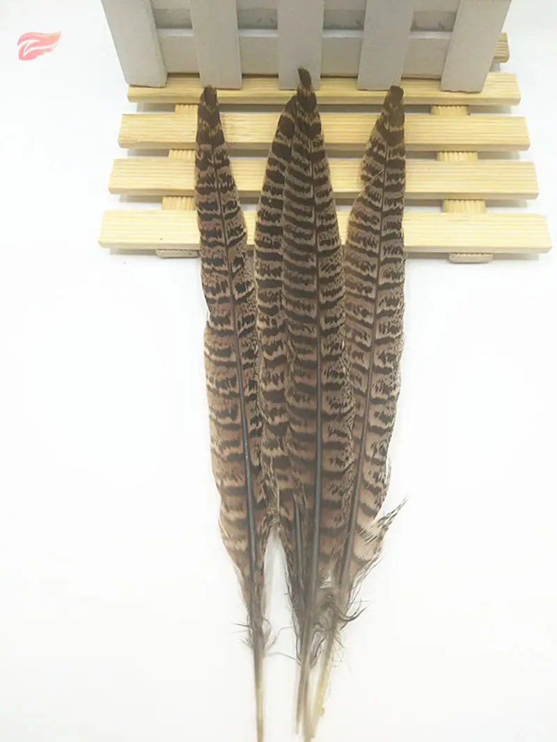

Best selling high quality 10pcs 8-10 inch / 20-25 cm natural tail feathers, stage decoration