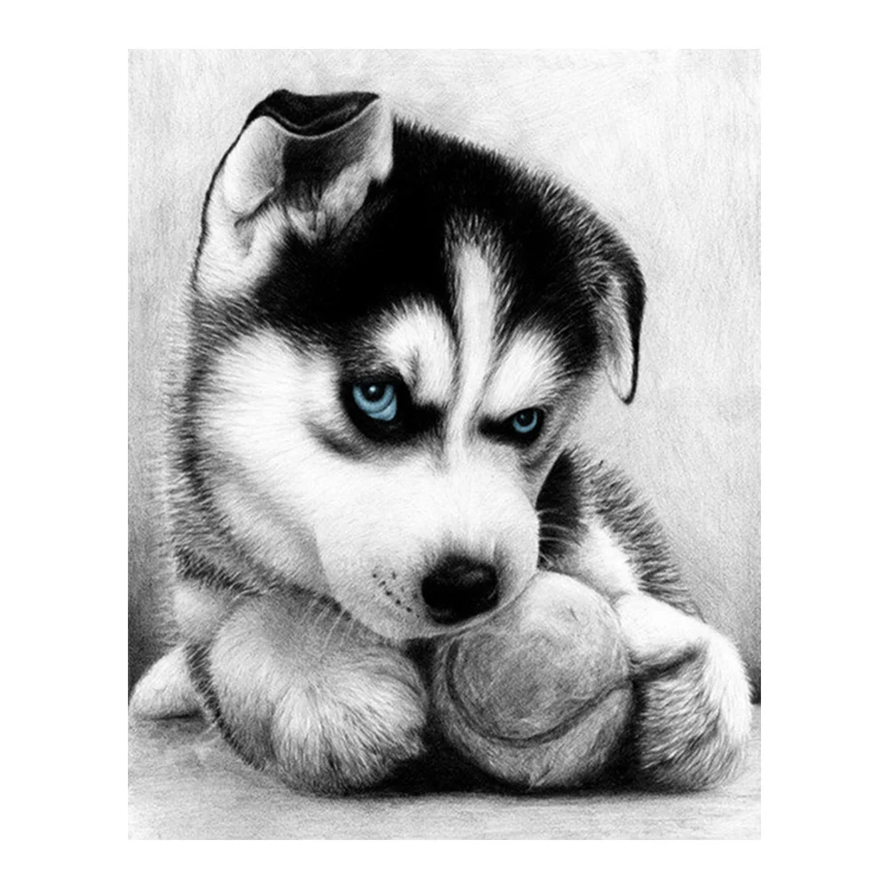 

Animal Dog Moge Diamond Painting Full Round Black White New DIY Sticking Drill Cross Embroidery 5D simple Home Decoration