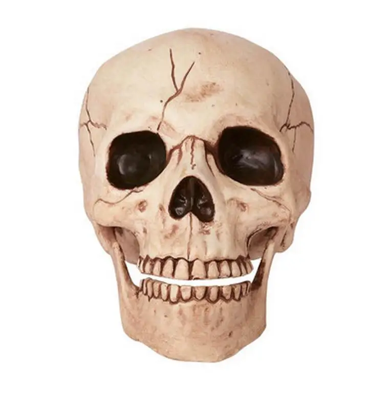 2019 high quality Medical model human skull head ghost simulation archaeological Halloween | Дом и сад