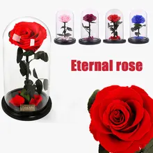 Розовое стекло крышка вечная роза цветок украшения розовый/синий/красный/фиолетовый свежие цветы подарок декоративный колючий День Матери
