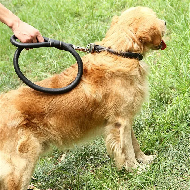 New Pu Leather Dog Collar Strong Bite Prevention Necklace with Traction Rope for Small and Medium Dog Pet Collar Accessories