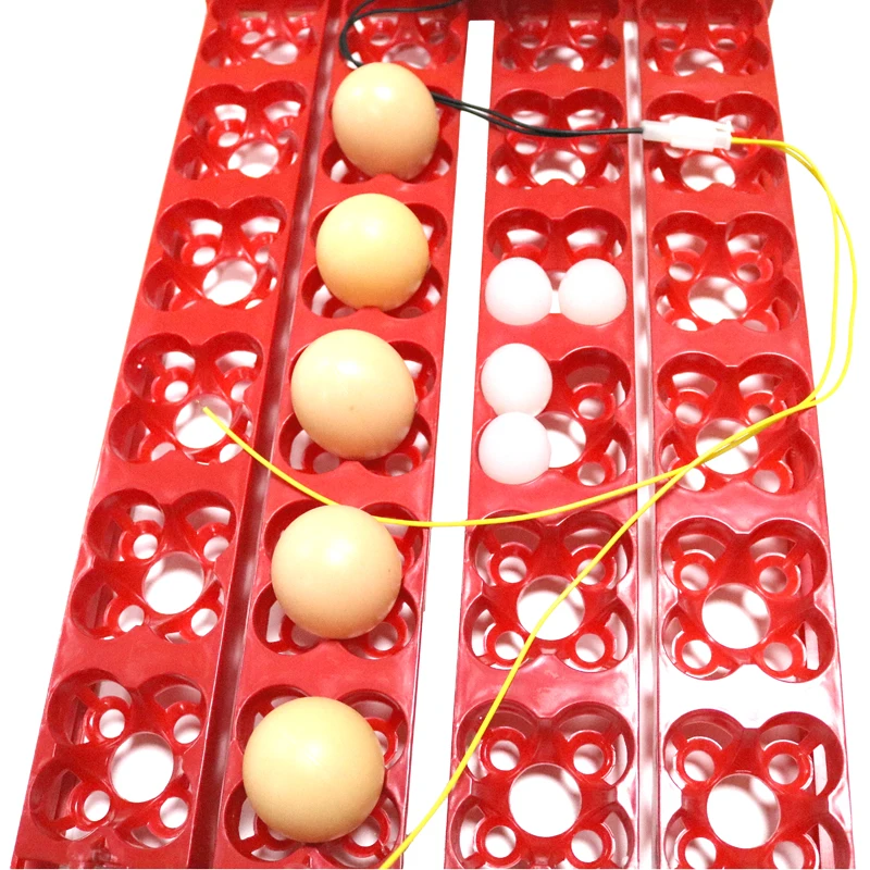 DIY 96 яиц птичий инкубатор лоток для яиц автоматический 24 яичный инкубатор перепелиный инкубатор для попугаев размер инструмента 43*28 см