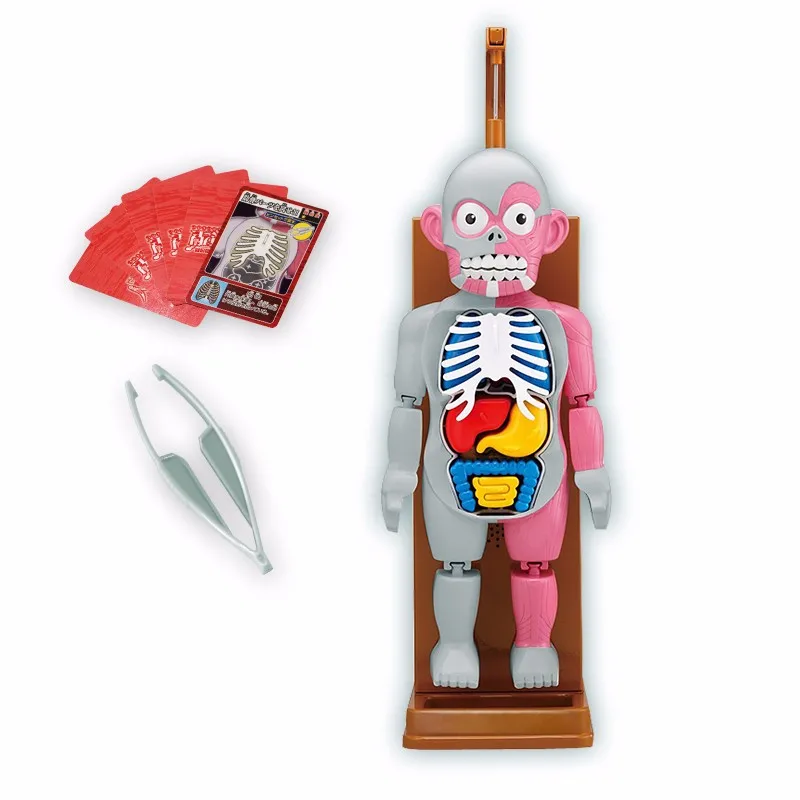 Горячая! террористические человеческого тела модель 3D головоломки Интересная Игрушка Новинка Gag Игрушки Trick Шутка Подарок Для Детей