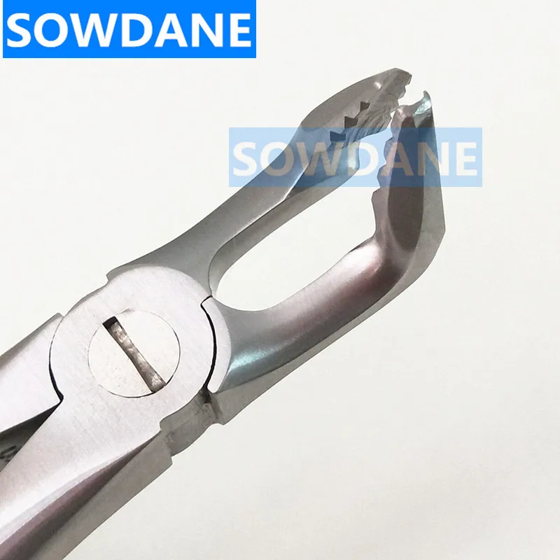 QQ图片20190330144409_副本