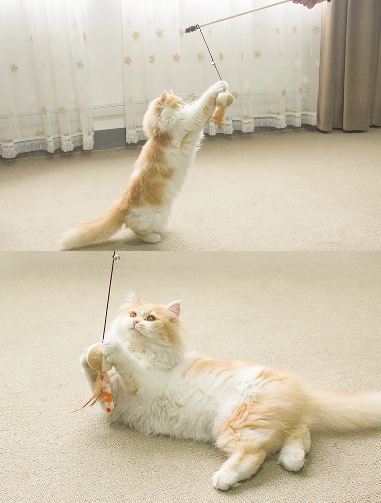 TB2xTcGiStYBeNjSspkXXbU8VXa_!!2865948680