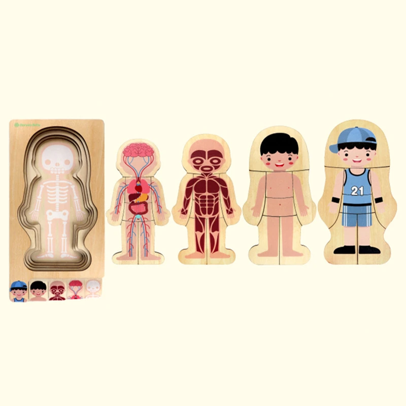 

BBK New Children Educational Toys Wooden Human Body Puzzle Boys Girls Wood Children Puzzles Kids Education Toy