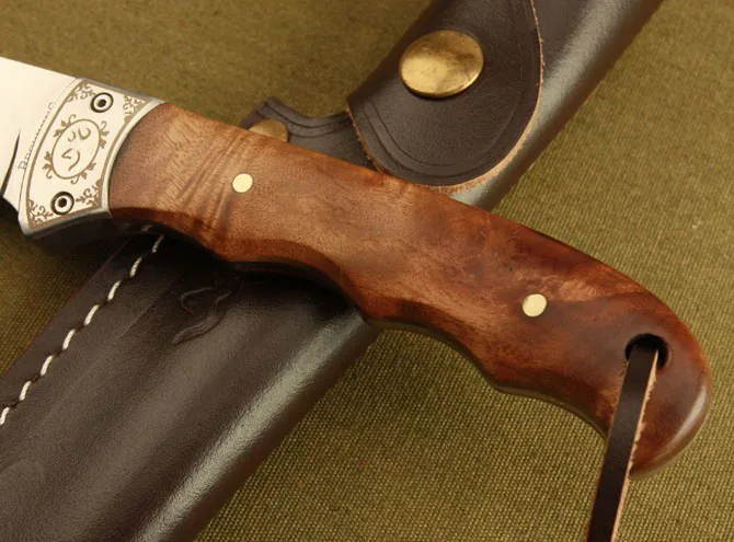 HTB1ohkGMXXXXXaaXXXXq6xXFXXXf