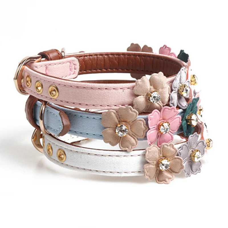 cute girl dog collars