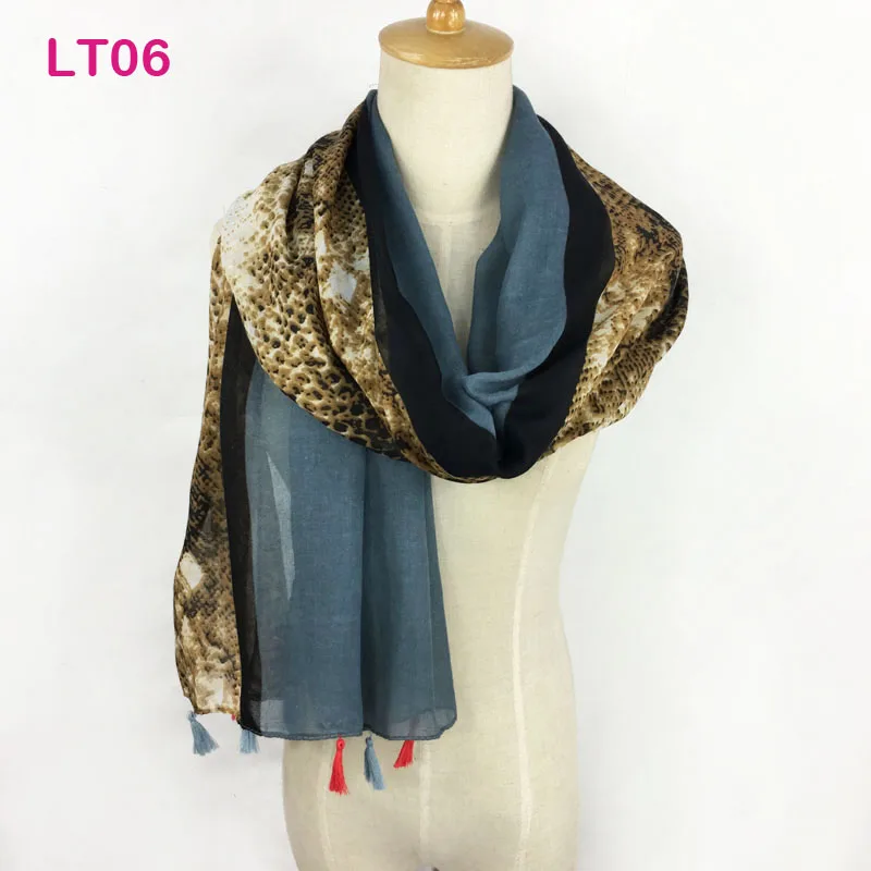 LT6b