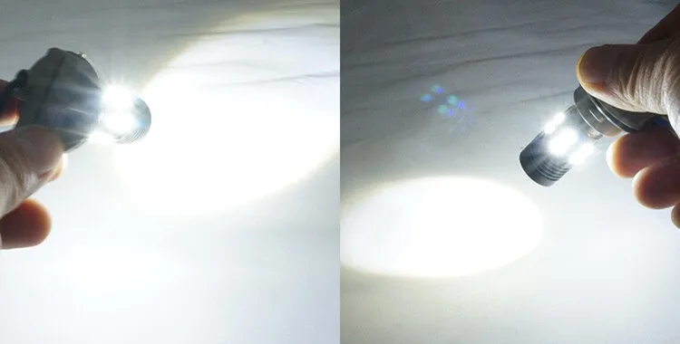 4446215544_1082100015