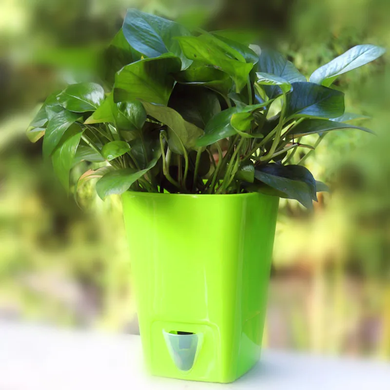

Four colour free shipping lazy self absorption water creative personalized plastic flower pot for home and garden