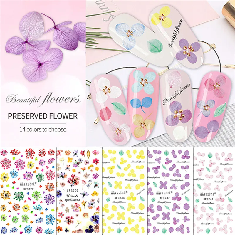 

Dried Flower Nail Sticker Eternal Flower Daffodil Hydrangea Imitation Dried Flower Nail Sticker Nail Sticker
