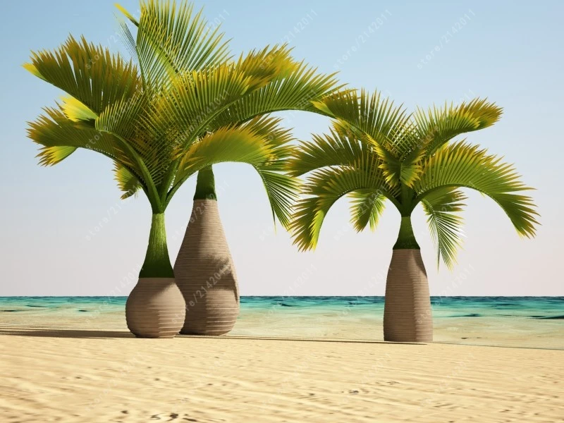 

10 Pcs/bag Bottle palm tree Exotic Plants Bonsai tree Tropical Ornamental flower evergreen plant pot for home garden