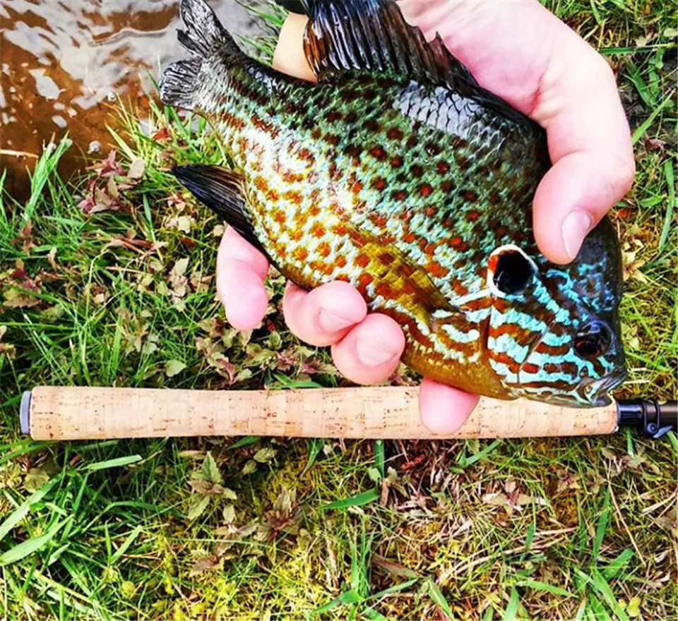 ^12FCC785D25B7743862B0CC34DA974904DEE310E9791D85876^pimgpsh_fullsize_distr_