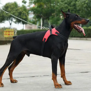 adjustable dog harness