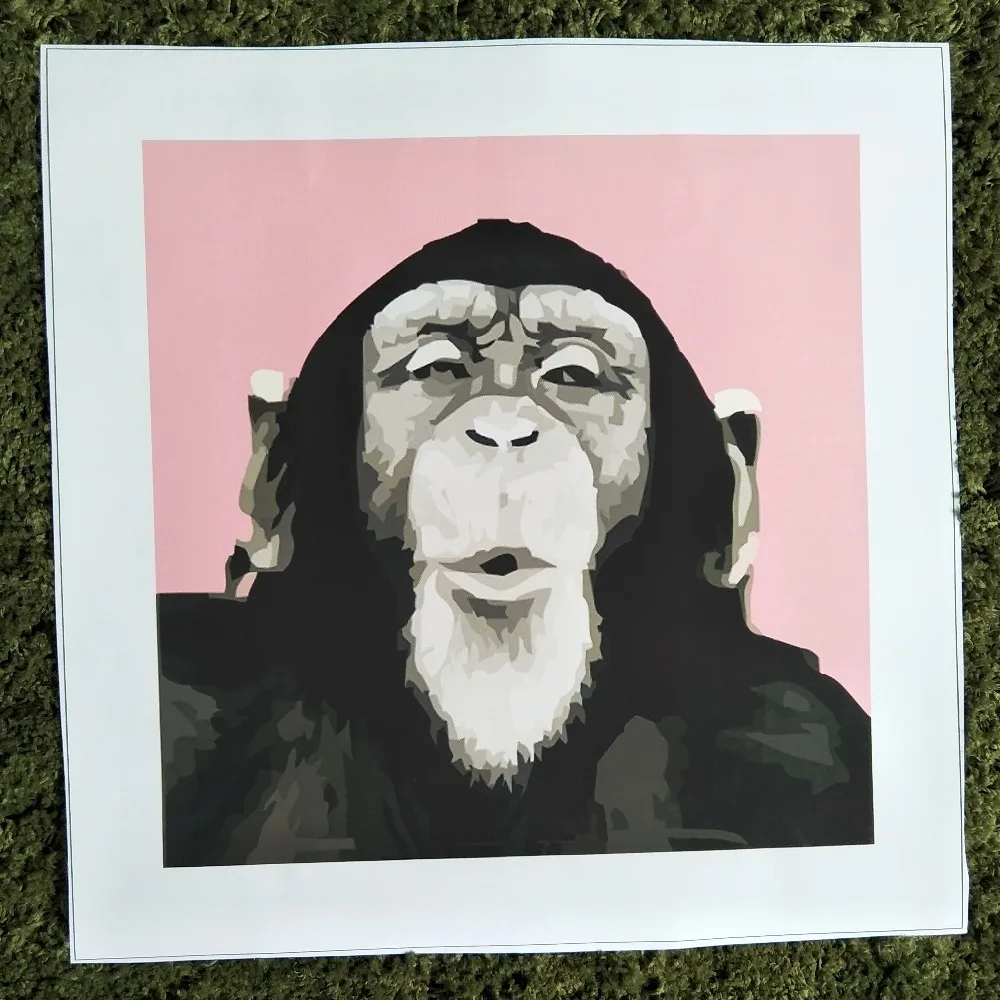 191 6 шт комбинированная улыбка обезьяна лицо картина маслом Печатный настенный арт для гостиной