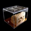 Sand Included Bionic Acrylic & Gypsum Ant Nest Housing Ants Farm Formicarium For Ant Colony ► Photo 2/6