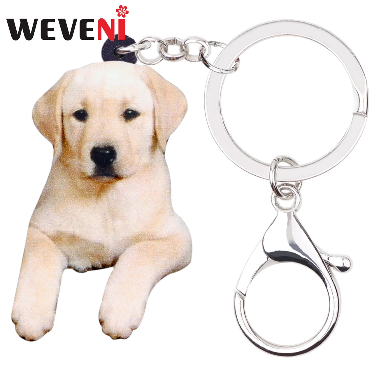 WEVENI акриловый сидячий лабрадор собака брелок животное животные питомцы