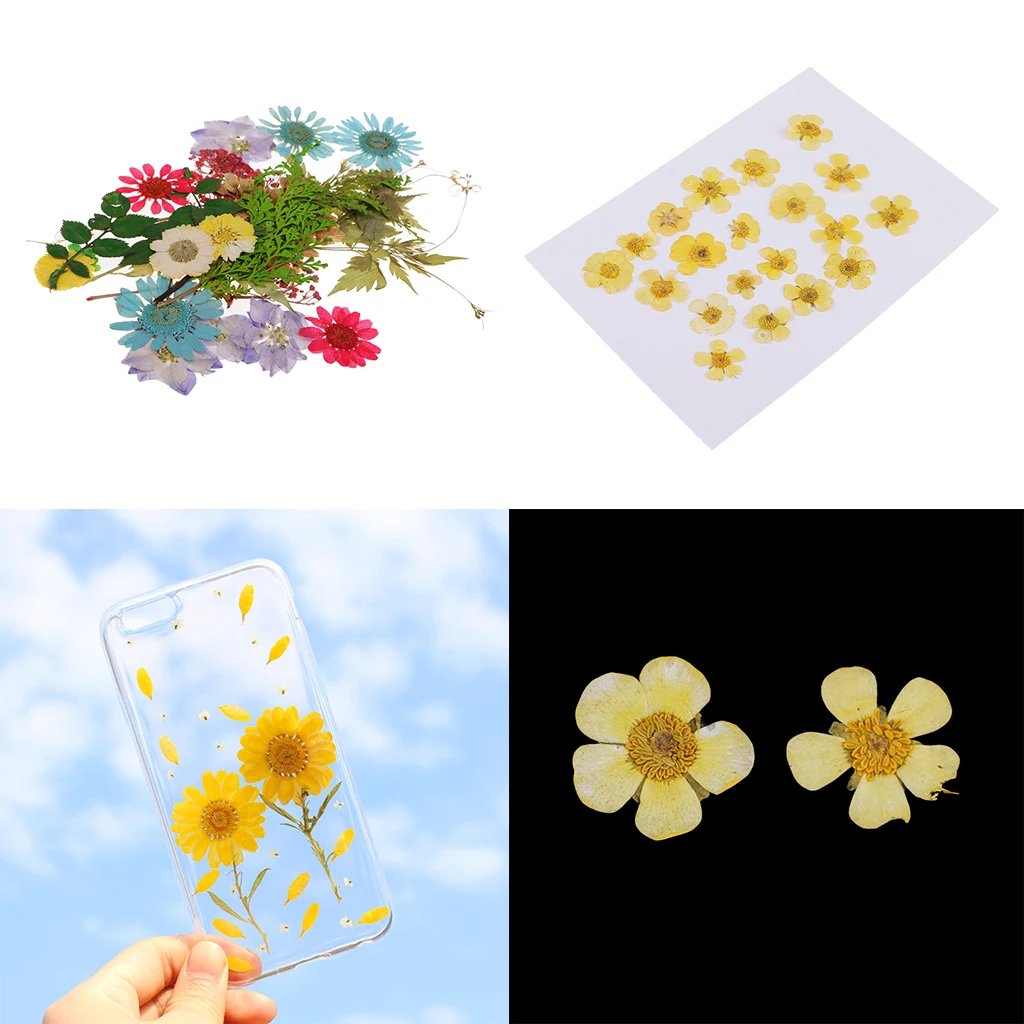 Pack of 50pcs Natural Dried Flower Real Flower Mixed For DIY Resin Ornament Craft Card Making Scrapbooking Embellishments