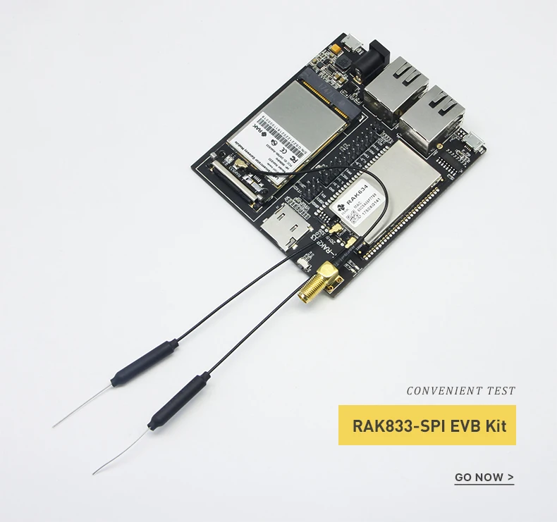 RAK833-SPI-EVB-Link