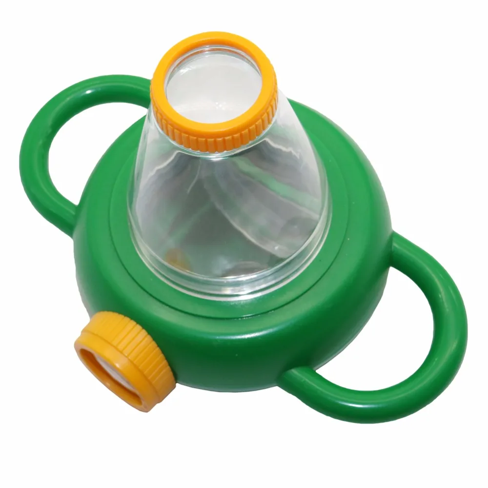 Gambar Laba-laba coklat