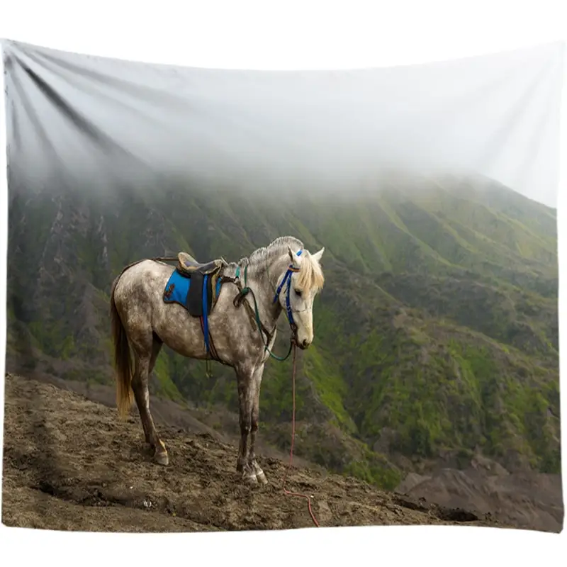 Психоделический солнечный свет, настенный гобелен с животными, художественный ковер с тремя лошадьми для дома, спальни, украшение в стиле бохо, гобелены - Цвет: DW033