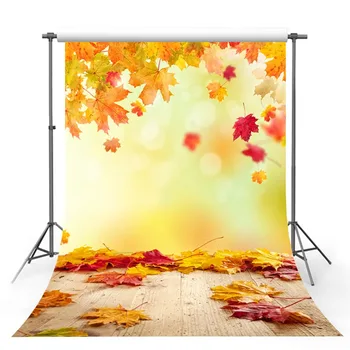 

Photography Background Beautiful Romantic Sunlight Fall Autumn Trees Backdrop Photo Studio Background Real Scene Photocall
