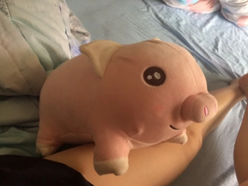 Dorimytrader New Cuddly Soft  Anime Pig Plush Toy Big Cartoon Fat Piggy Doll Animals Pillow 28inch  70cm DY50171 (7)
